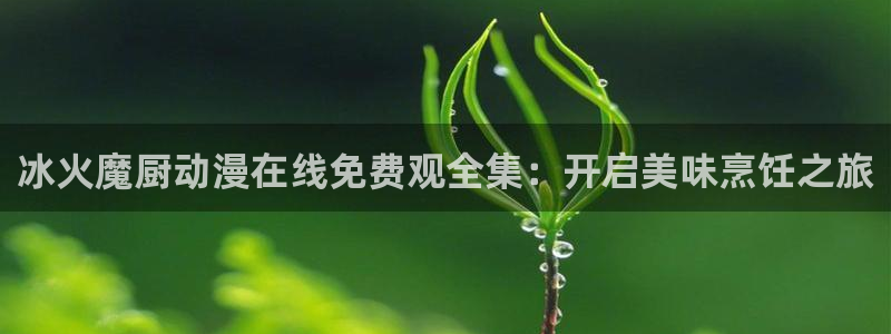 78动漫下载安装：冰火魔厨动漫在线免费观全集：开启美味烹饪之旅