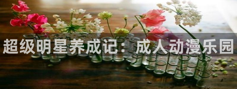 78动漫网页：超级明星养成记：成人动漫乐园