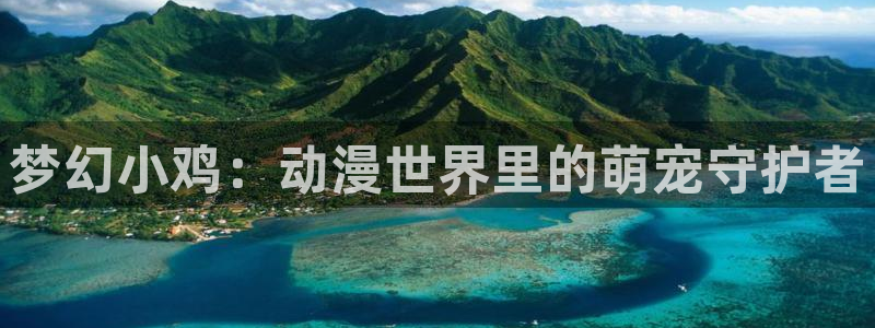 78动漫安卓：梦幻小鸡：动漫世界里的萌宠守护者